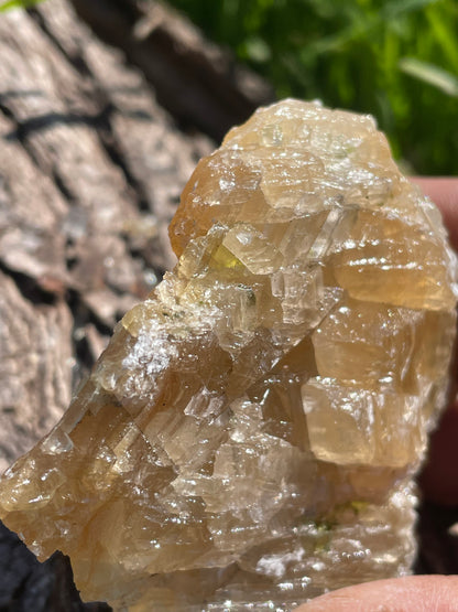 Golden Calcite Specimen No. 14