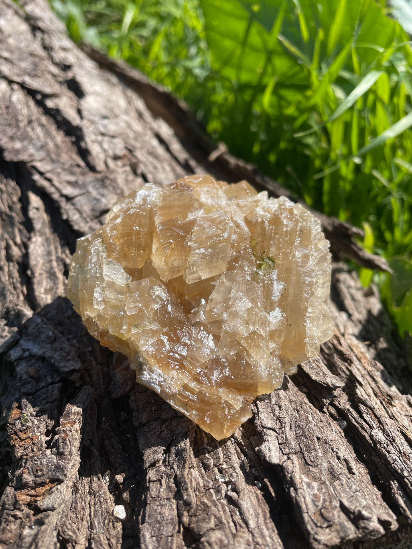 Golden Calcite Specimen No. 14