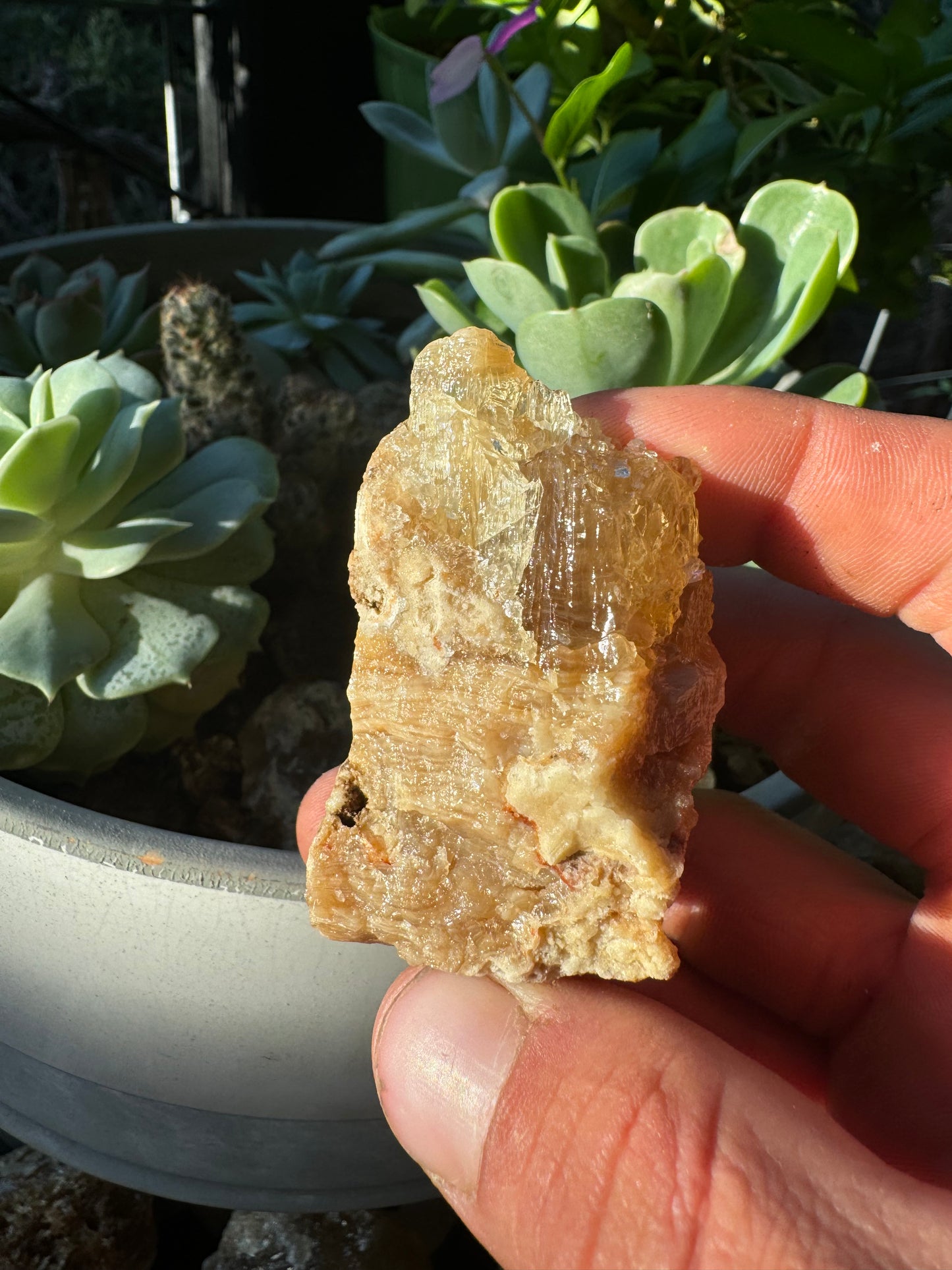 Golden Calcite Specimen No. 112