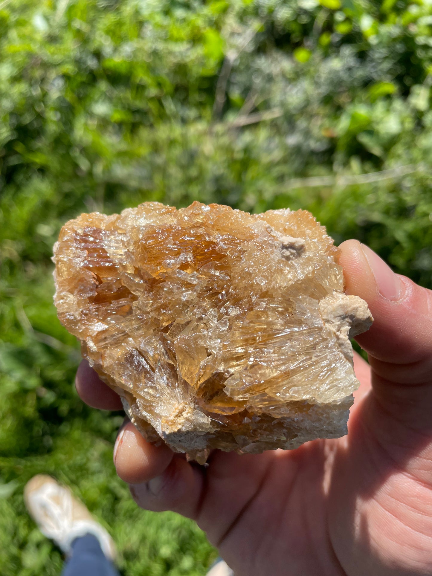 Golden Calcite Specimen No. 17S