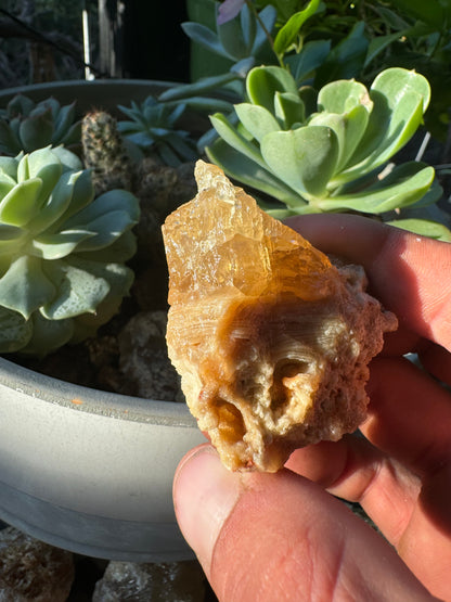 Golden Calcite Specimen No. 112