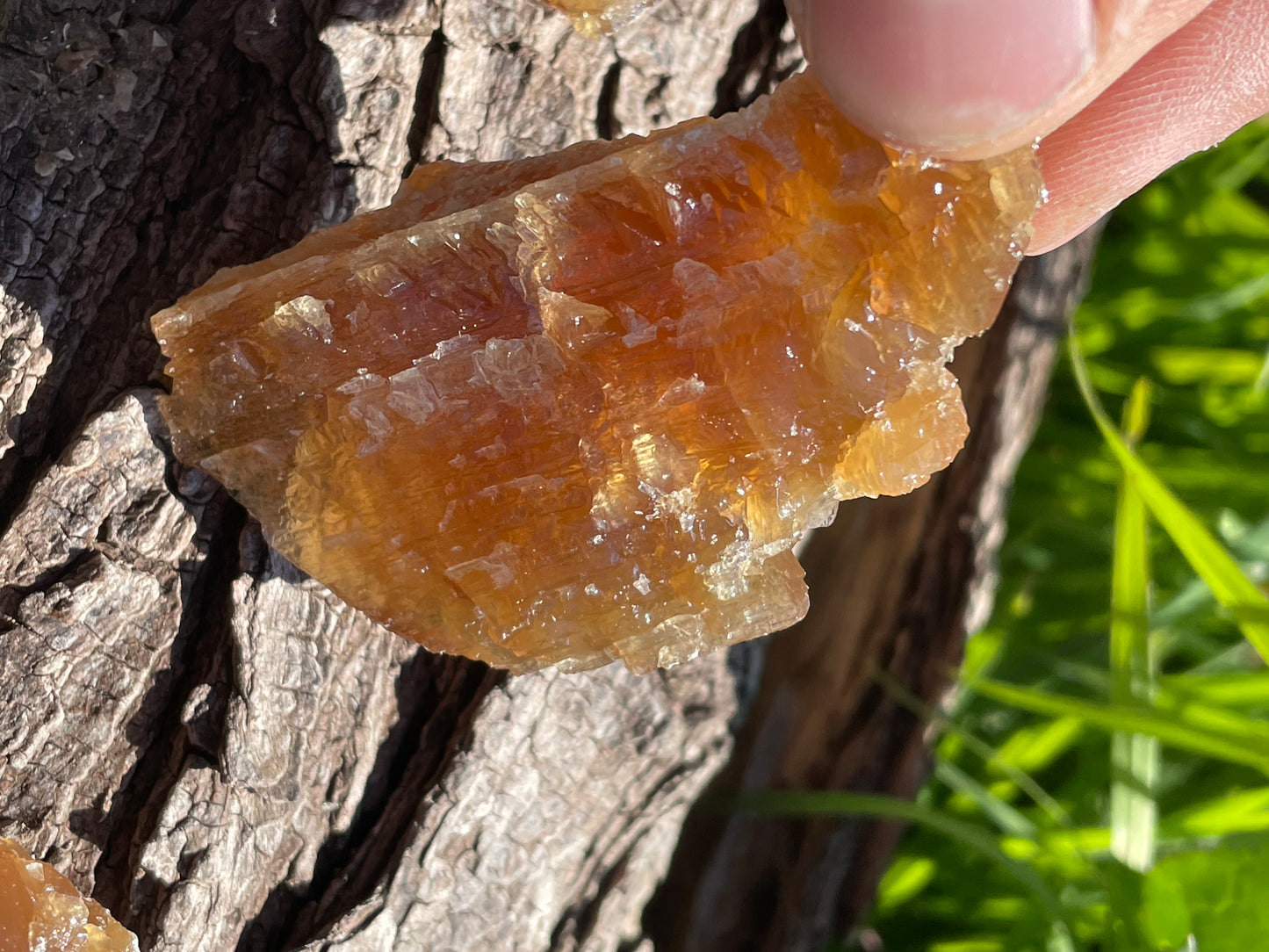 Chocolate Calcite Specimen No. 34L