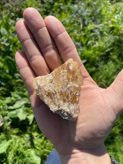 Golden Calcite Specimen No. 15