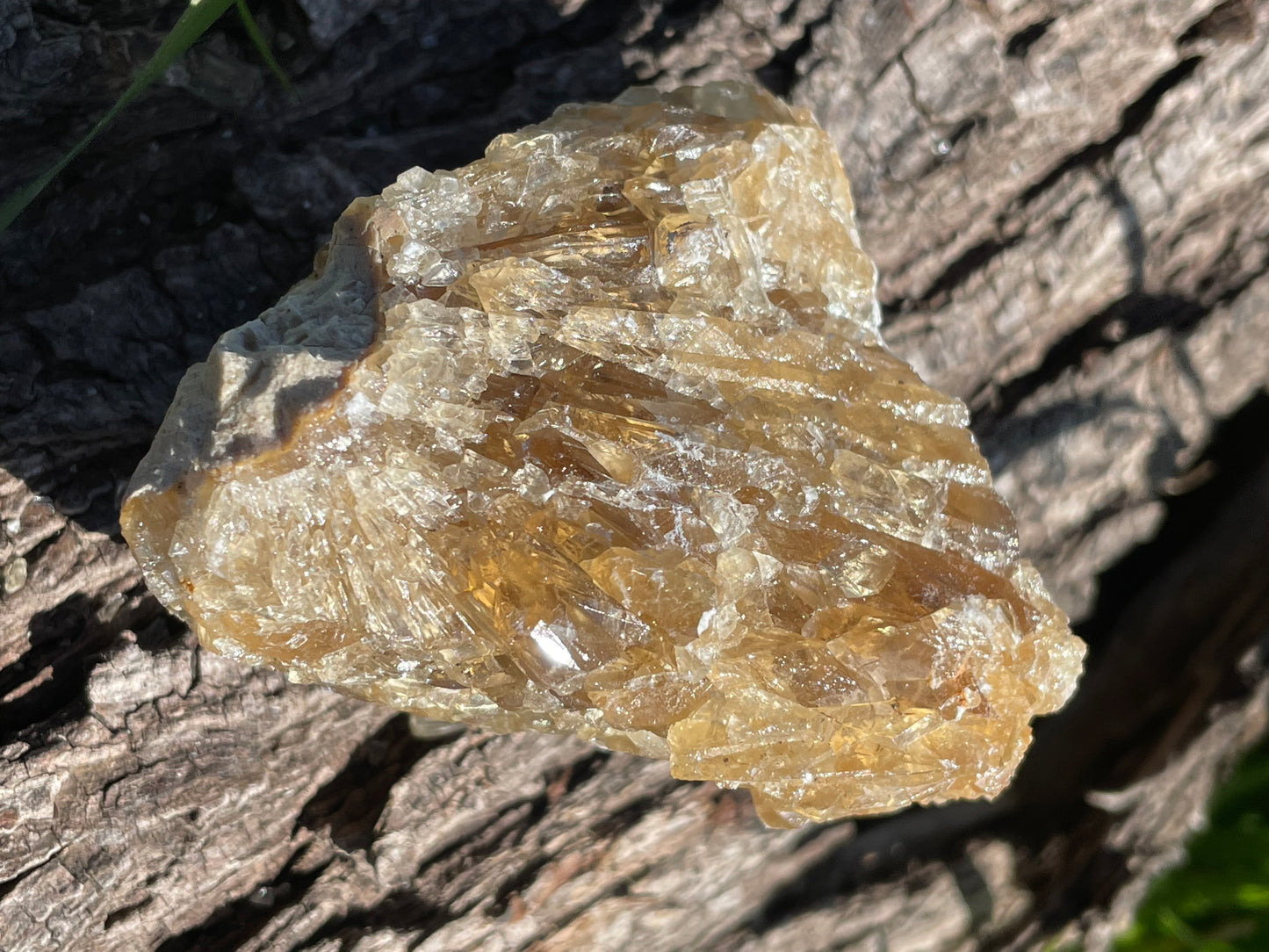 Golden Calcite Specimen No. 15