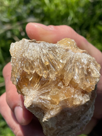 Golden Calcite Specimen No. 17S