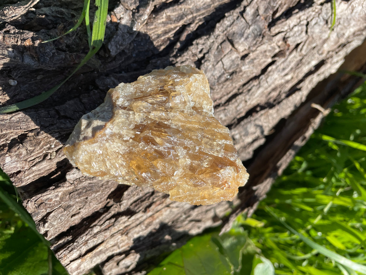 Golden Calcite Specimen No. 15