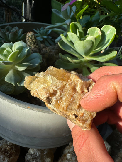 Golden Calcite Specimen No. 112