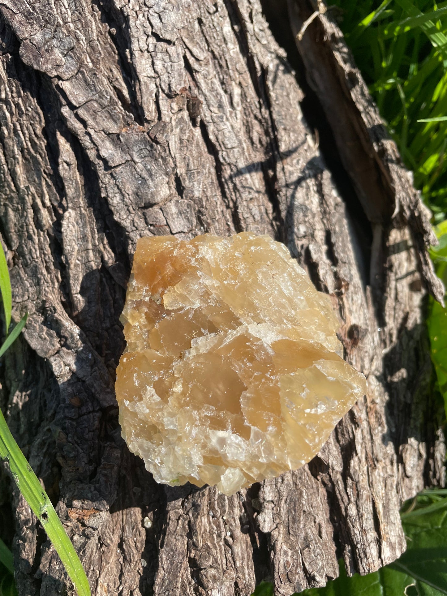 Golden Calcite Specimen No. 14