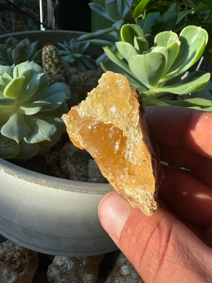 Golden Calcite Specimen No. 112