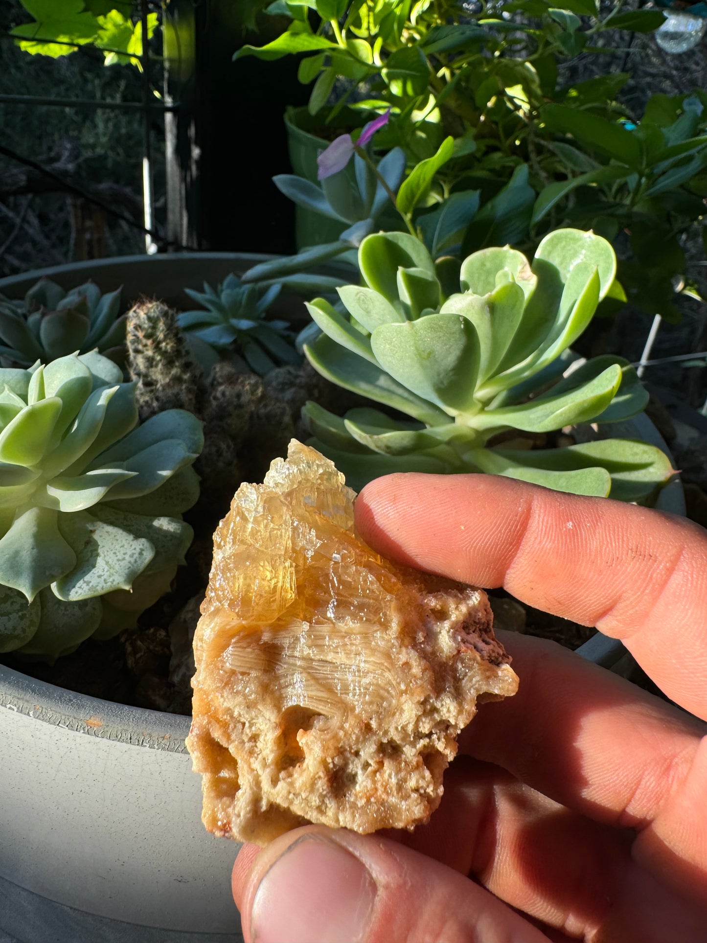 Golden Calcite Specimen No. 112