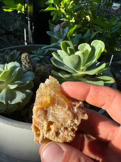 Golden Calcite Specimen No. 112