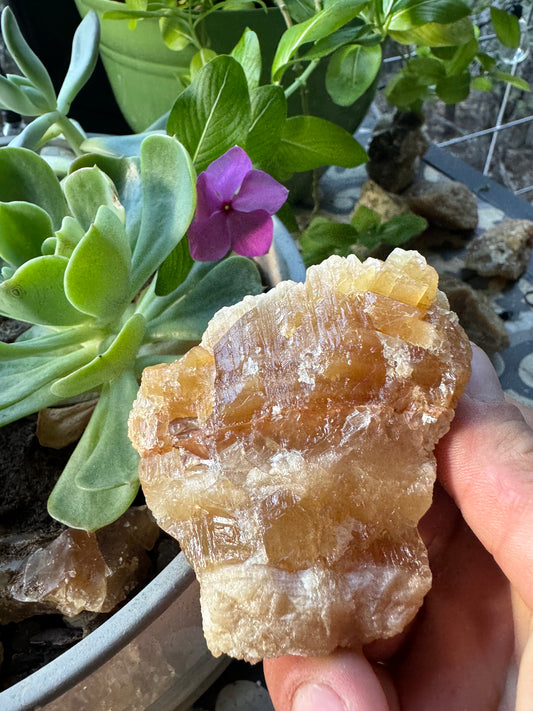 Golden Calcite Specimen No. 18