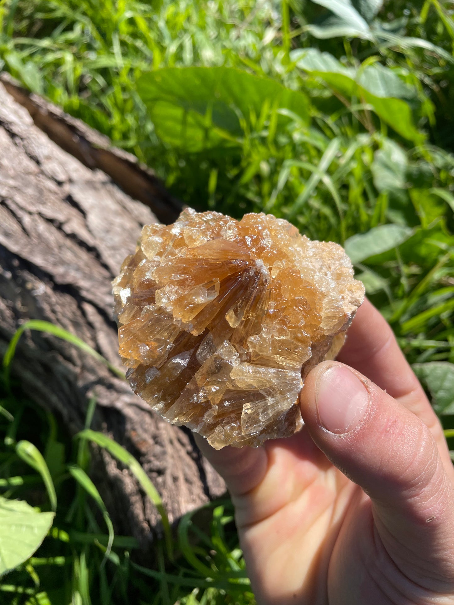 Golden Calcite Specimen No. 12