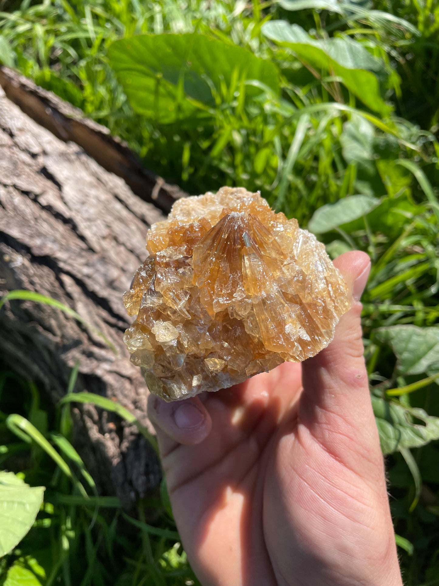 Golden Calcite Specimen No. 12