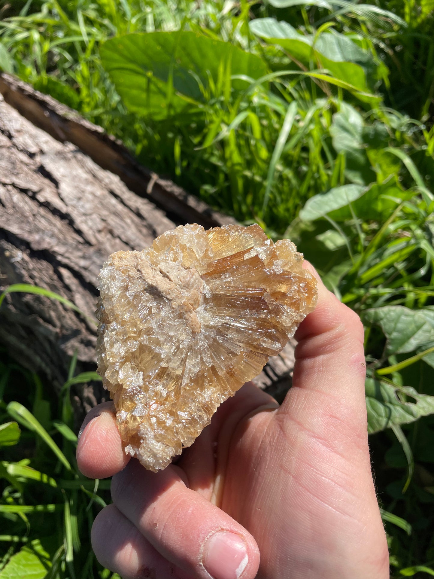 Golden Calcite Specimen No. 12