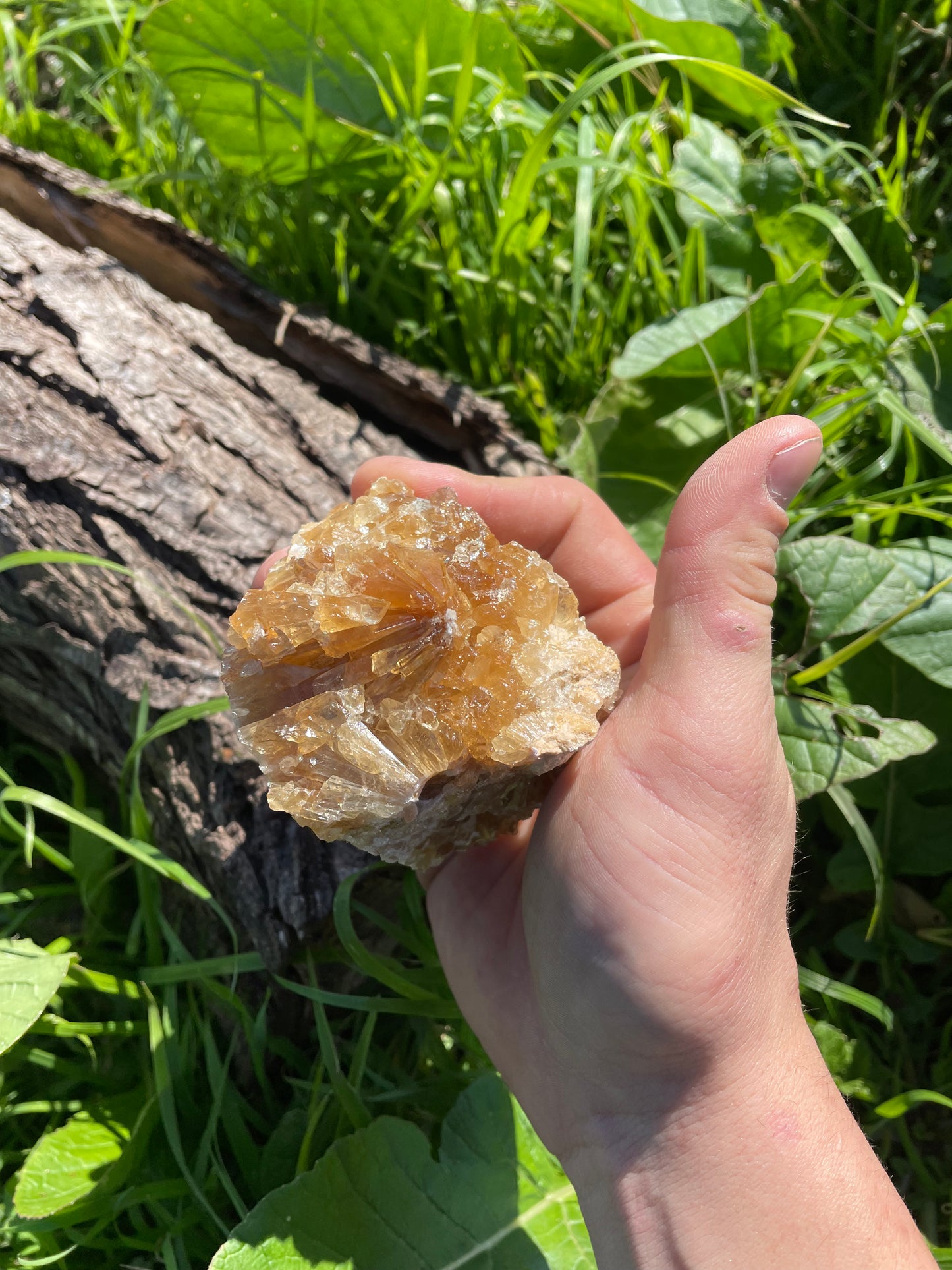 Golden Calcite Specimen No. 12